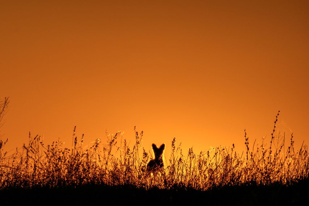Photograph by Вячеслав Ладанов