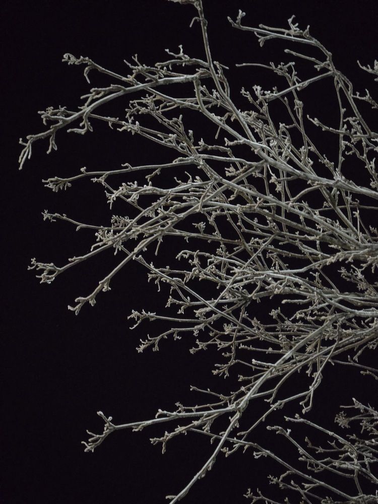 Photograph by Варвара Моргунова