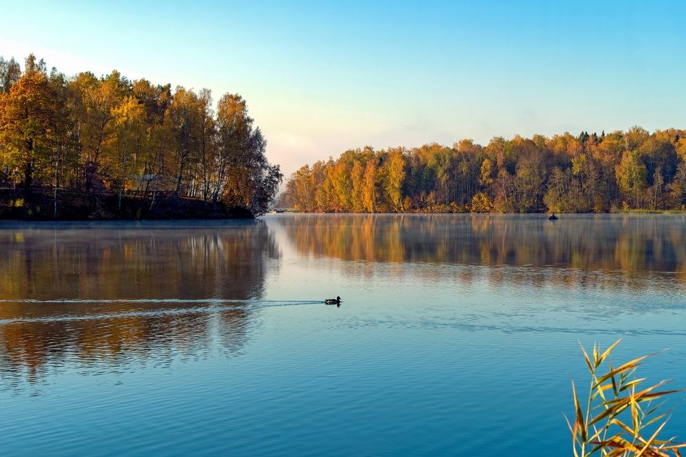 Photograph by Михаил Косолапов