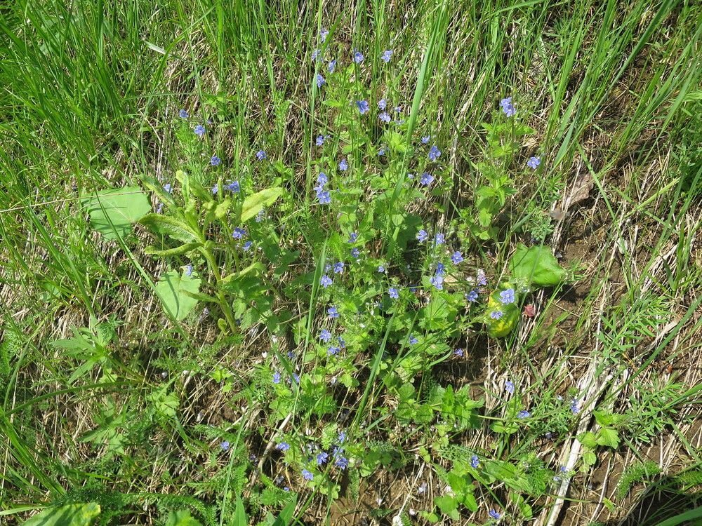 Photograph by Николай Горбачёв