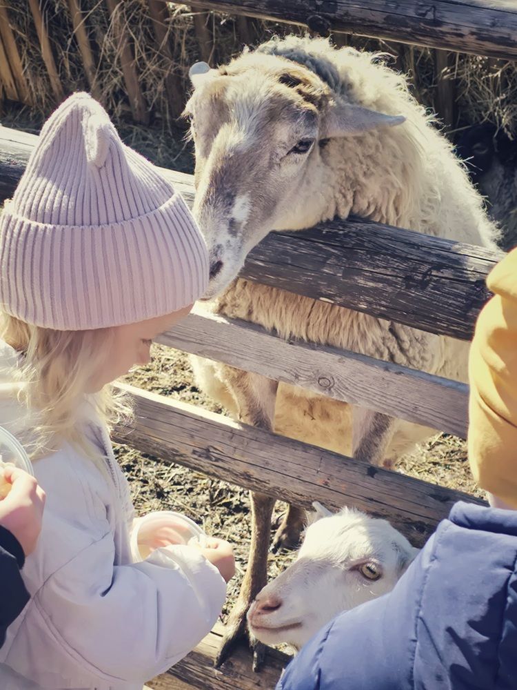 Photograph by Ирина Хлебникова