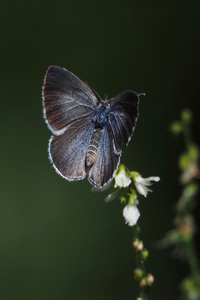 Photograph by Елена Синицына