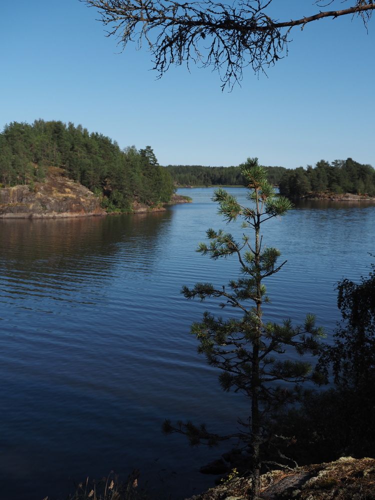 Photograph by Елена Синицына