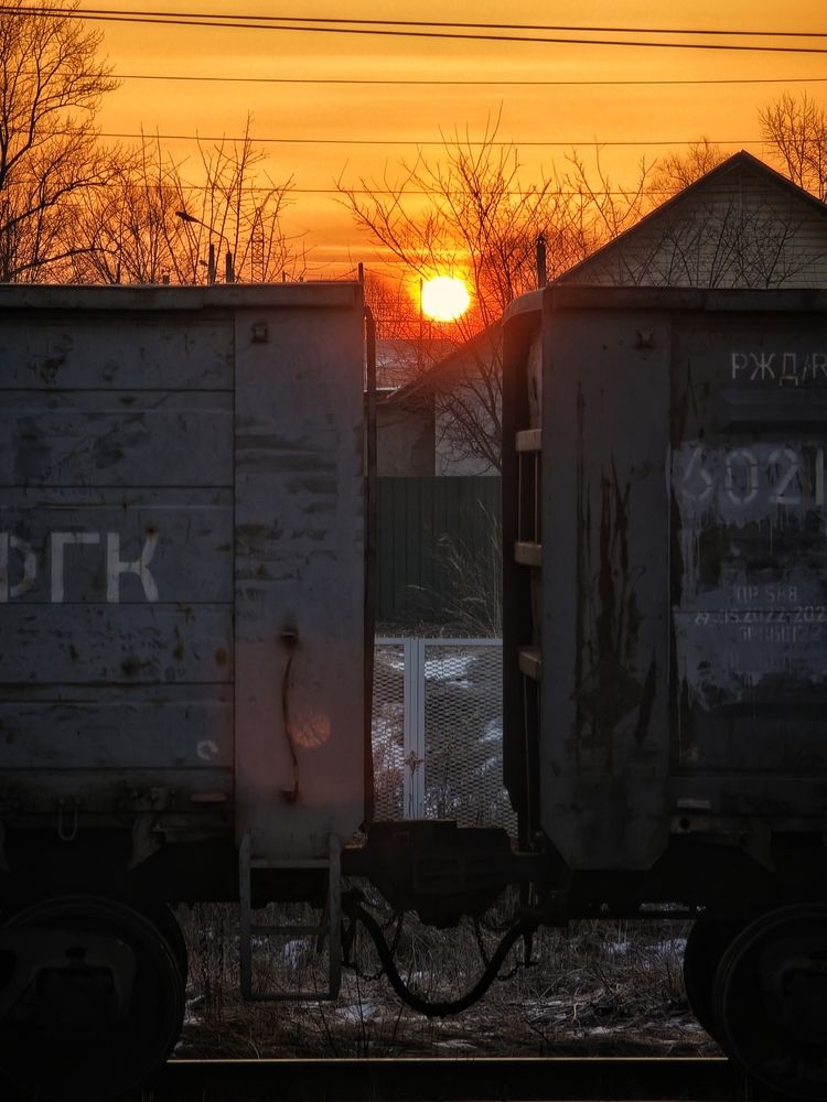 Photograph by Оксана Короткая