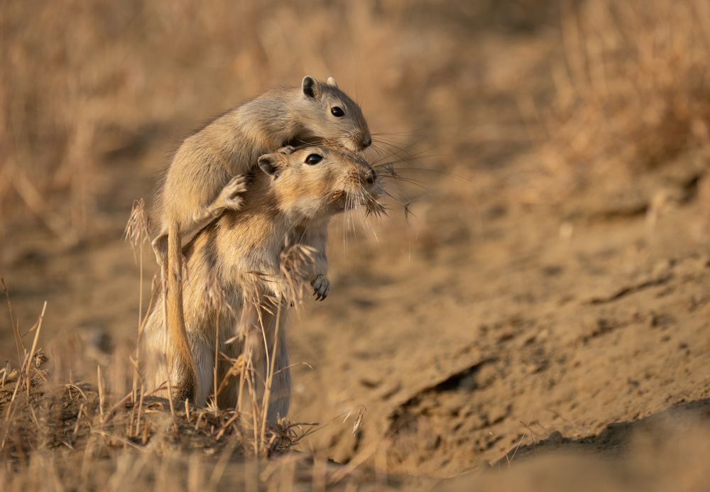 Photograph by Владимир Цветов