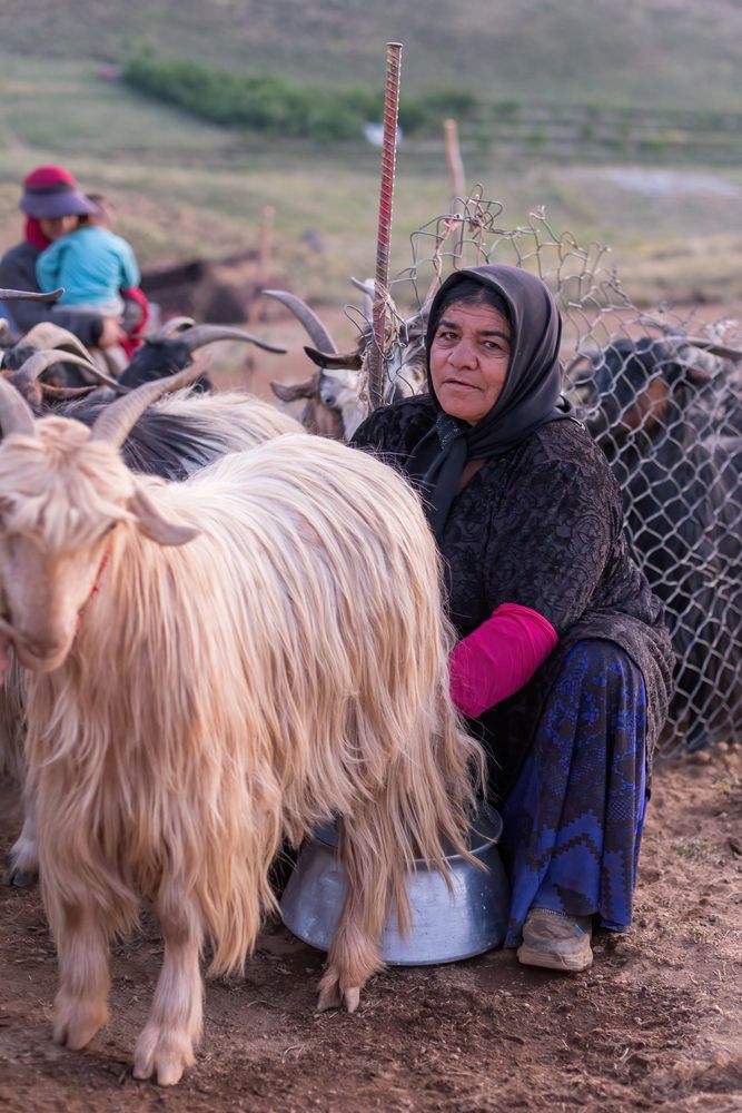 Photograph by Hamid espanani