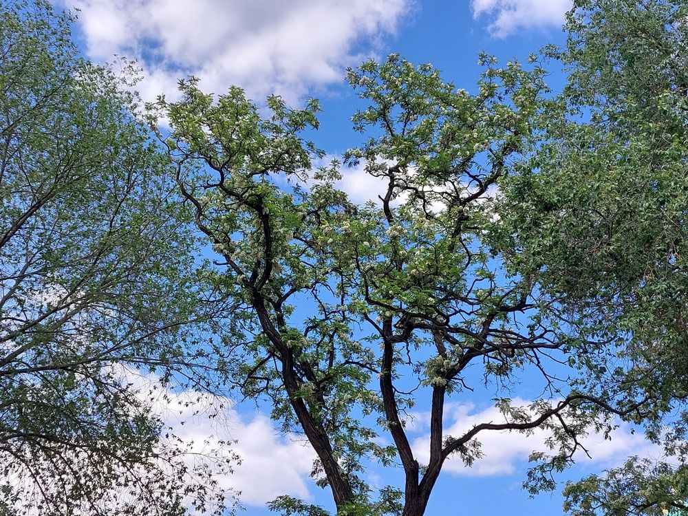 Photograph by Нина Паршина