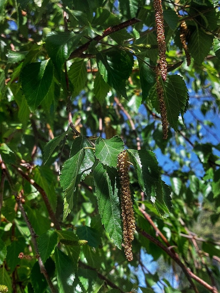 Photograph by Нина Паршина