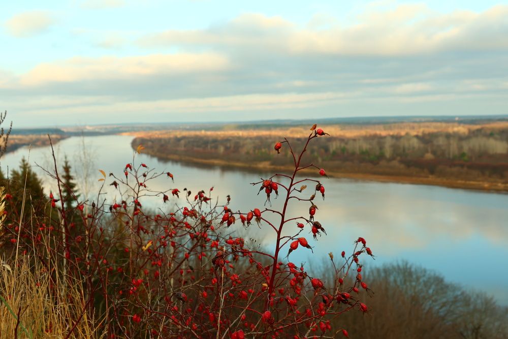 Photograph by Сергей Кубасов