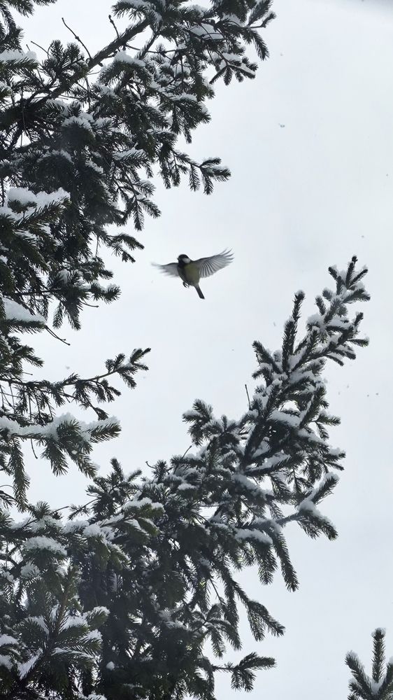 Photograph by Юлия Гусева