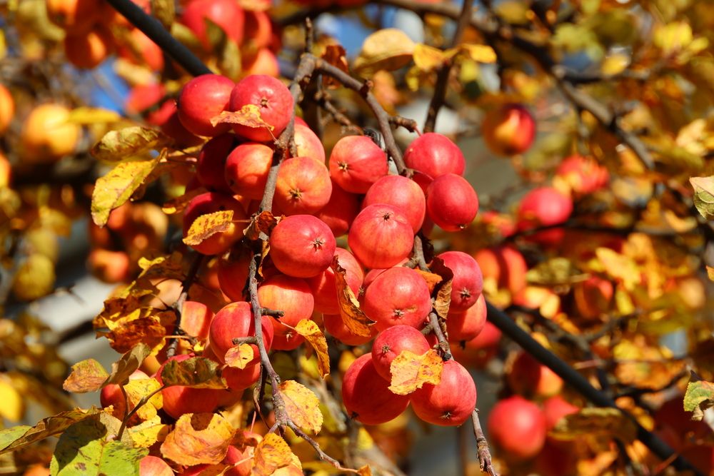 Photograph by Сергей Кубасов