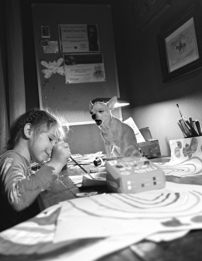 Фотография автора Юлия Дмитриева