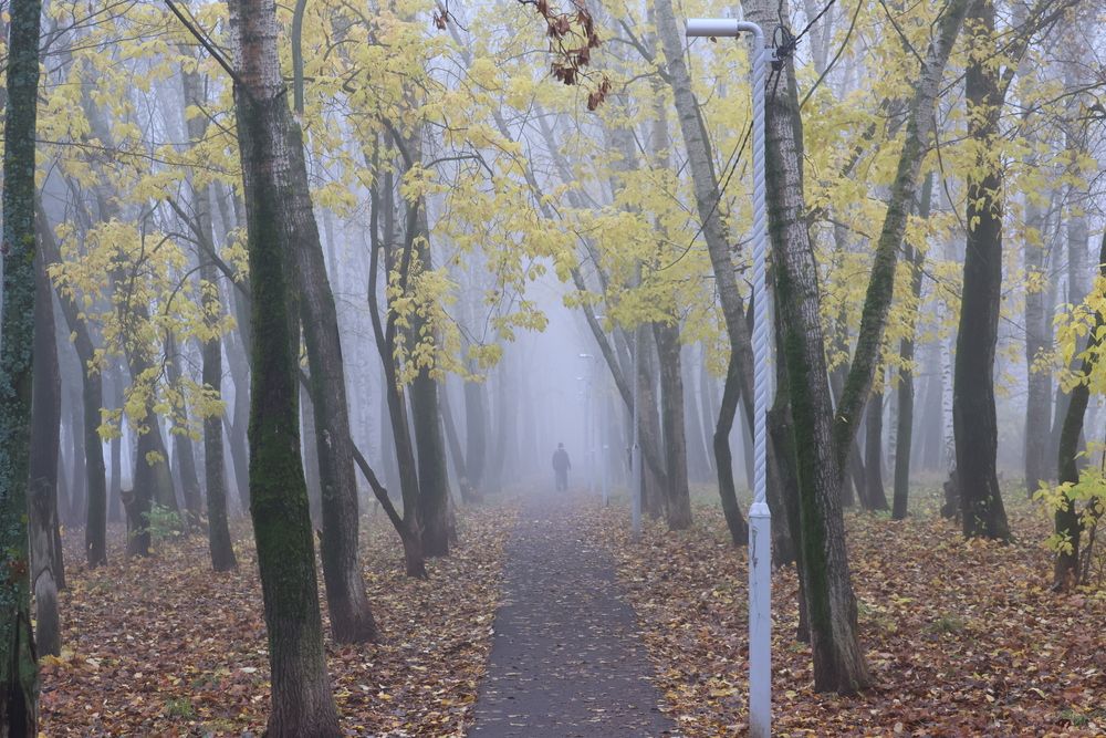 Photograph by Сергей Кубасов
