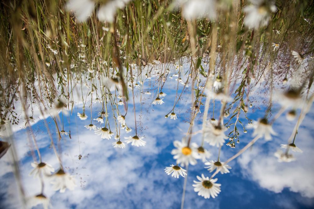 Photograph by Сагдиева Эльвира