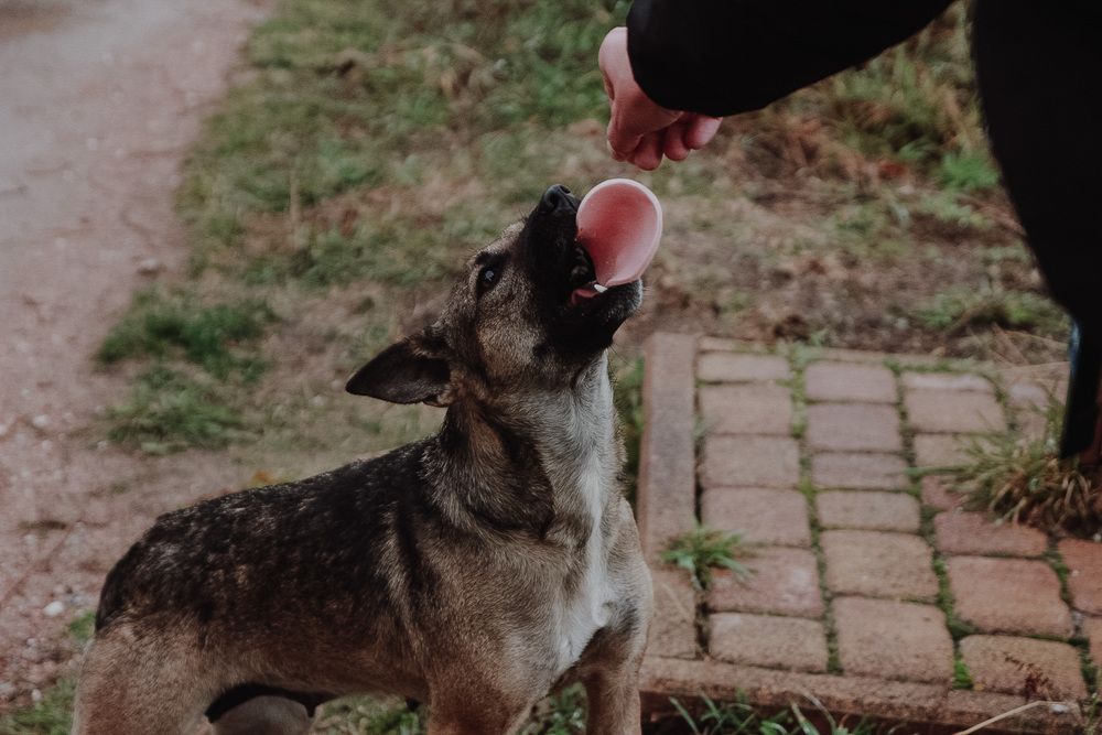 Photograph by Наталия Столяр