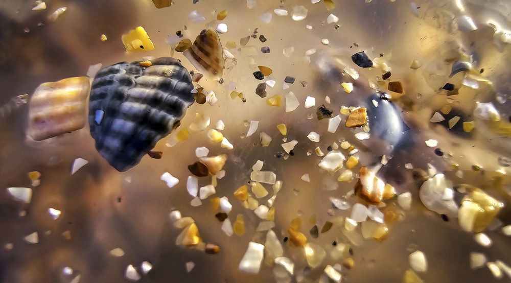 Photograph by Пирог Борис