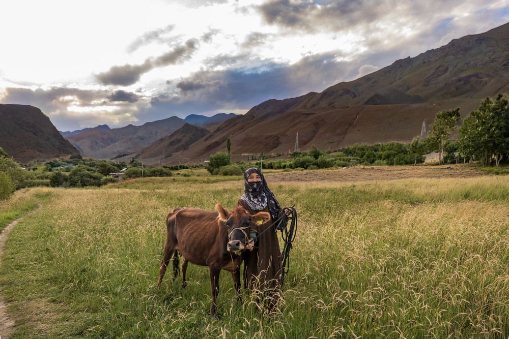 Drass Valley - Bahat