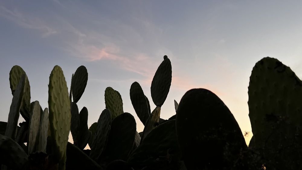 Photograph by omar kanani