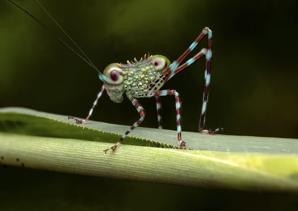 Фотография автора Eduardo Salvador Cabrera
