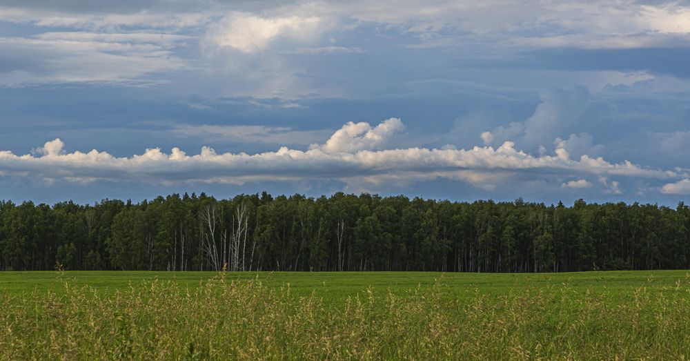 Photograph by Каргин Валерий