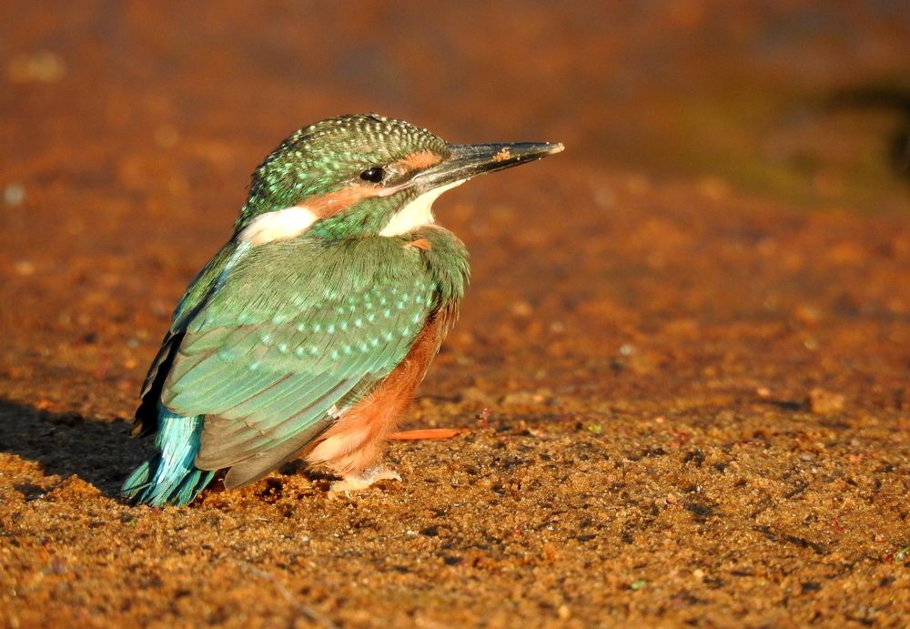 Photograph by Татьяна Калугина