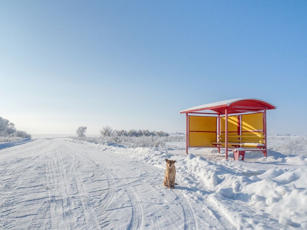 Фотография автора Степанов Евгений