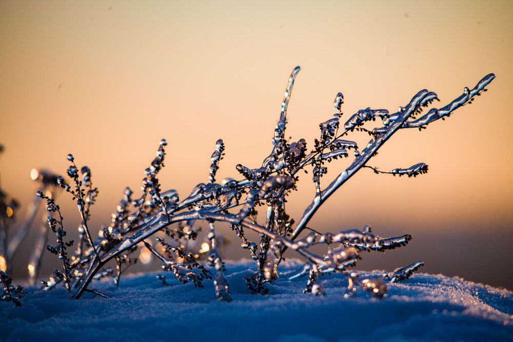 Photograph by Алексей Борисов