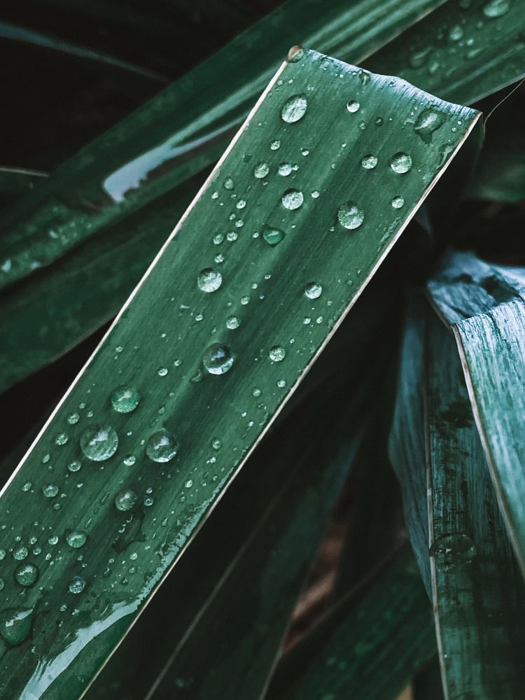 Фотография автора Наталия Столяр