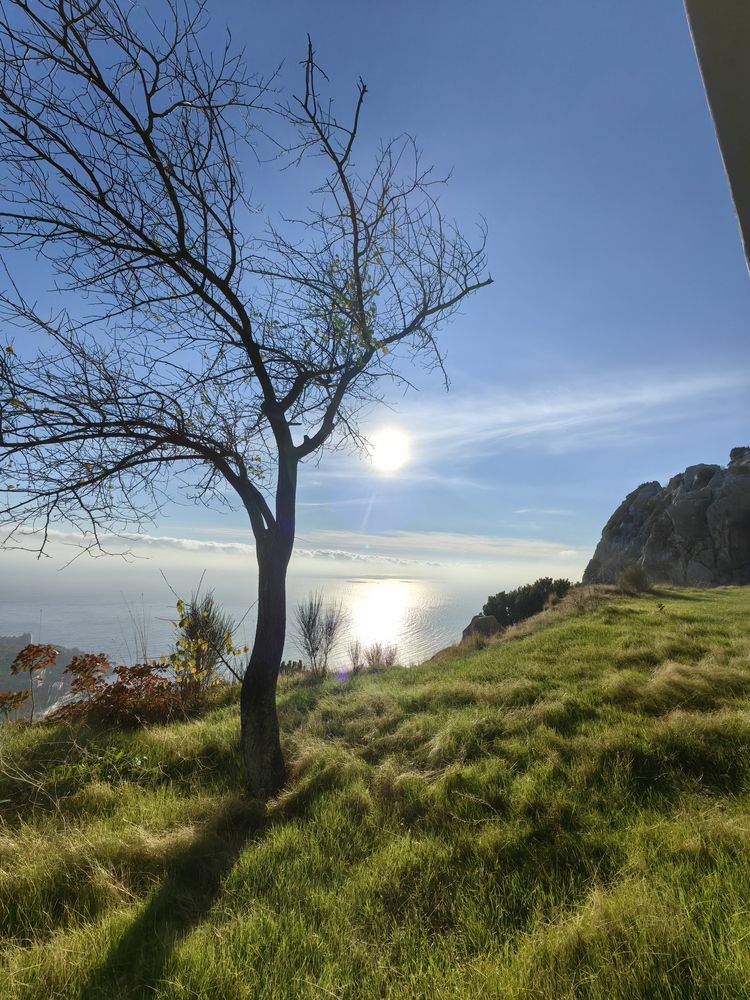 Photograph by Юлия Горелова