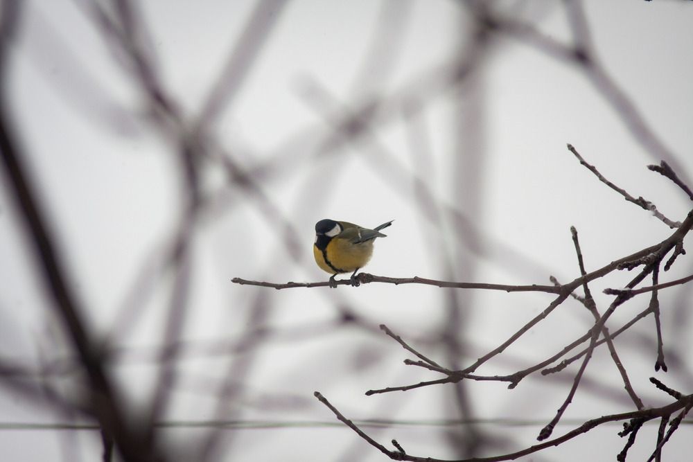 Photograph by Виталий Васильев