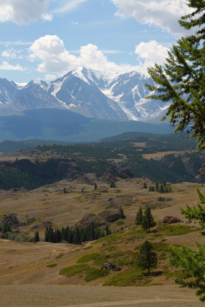 Фотография автора Лариса Катрашенко