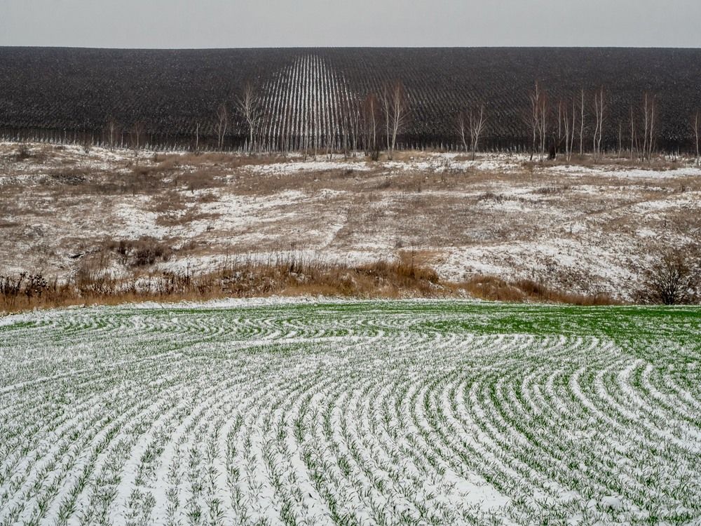 Фотография автора Степанов Евгений