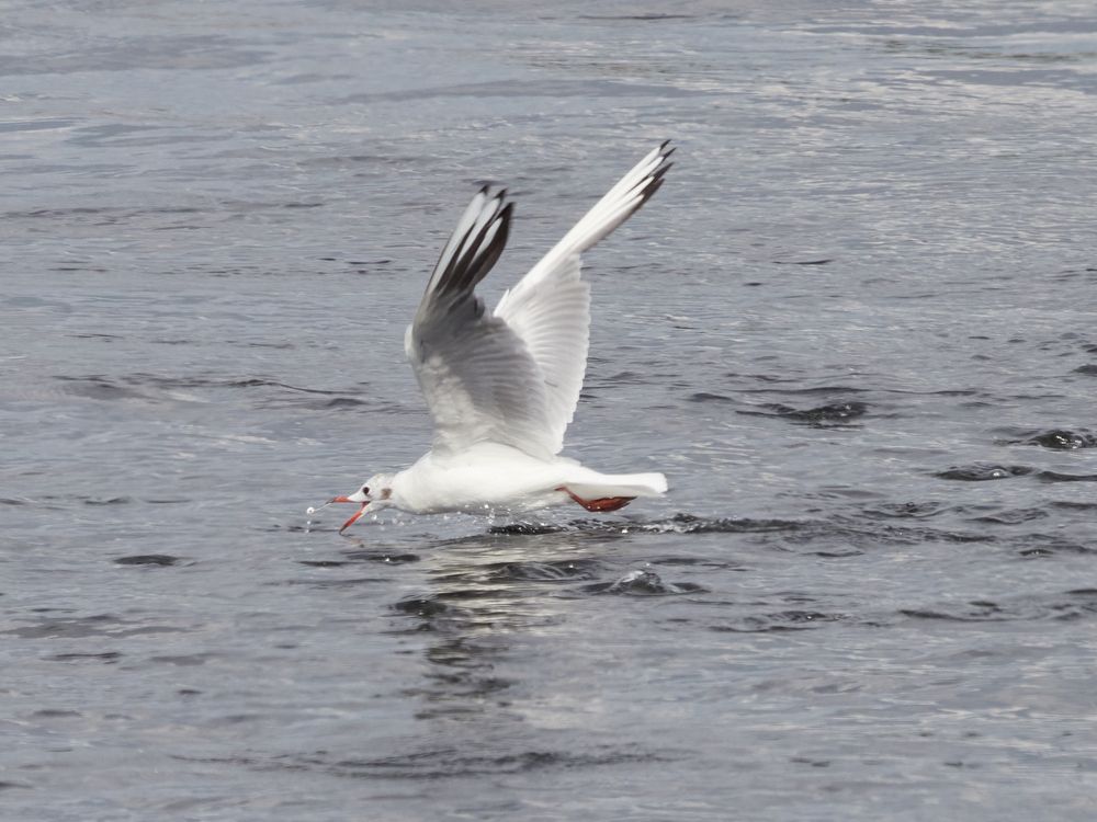 Photograph by Ivan Gorbachev