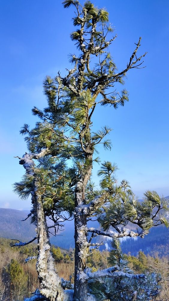 Photograph by Анастасия Горбачева