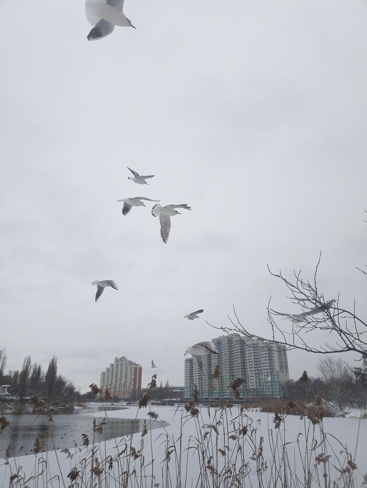 Photograph by Сергей Кульков