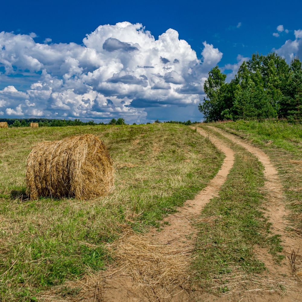 Фотография автора Иван Комаров