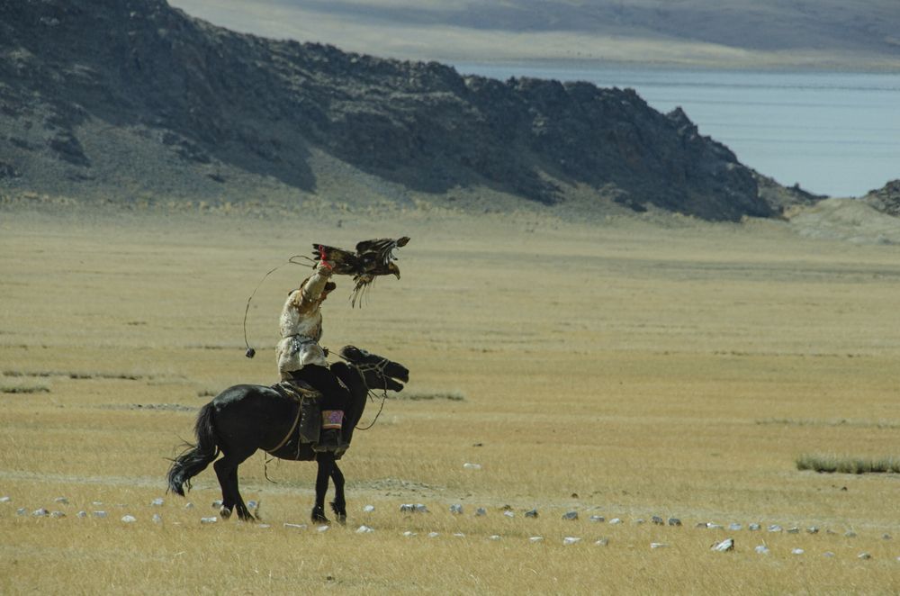 Photograph by Надежда Михайлина