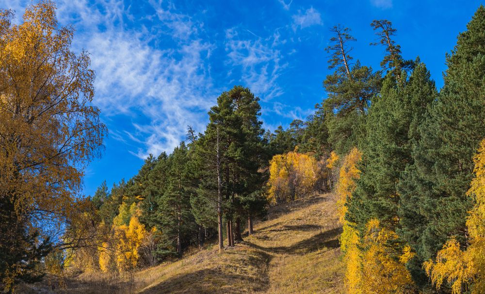 Фотография автора Константин Яковлев