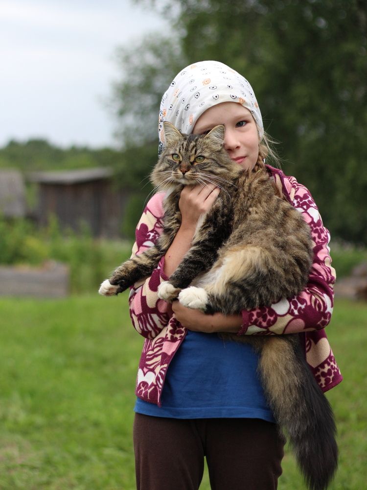 Фотография автора Андрей Шестаков