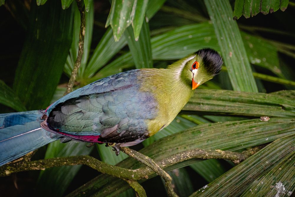 Photograph by Наталья Кокорина