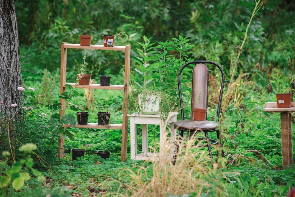 Photograph by Татьяна Жиркина