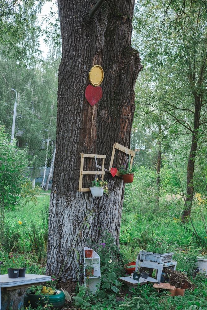 Photograph by Татьяна Жиркина