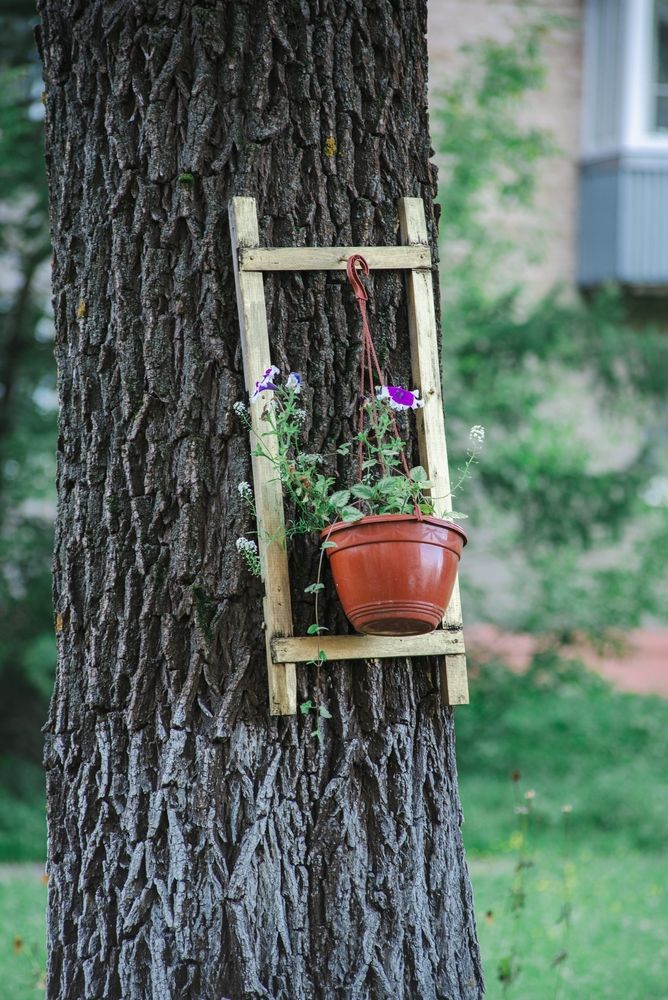 Photograph by Татьяна Жиркина