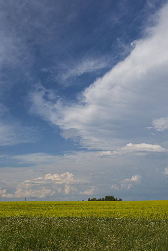 Photograph by Каргин Валерий