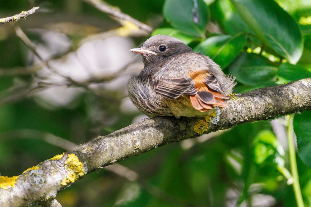 Photograph by Сергей Старых
