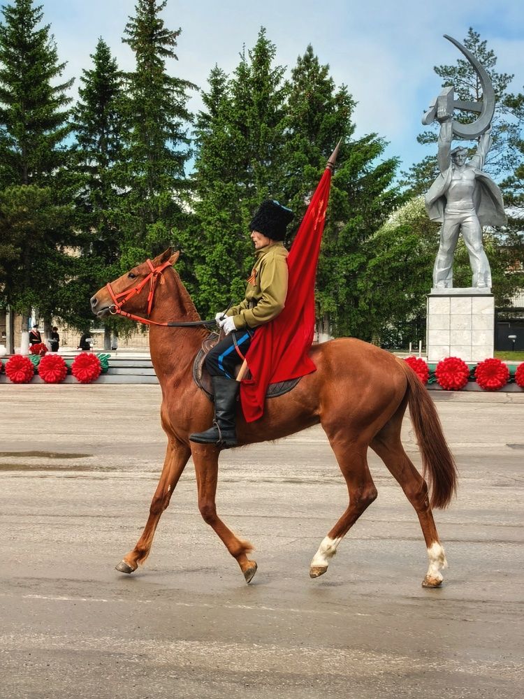 Photograph by Анна Якубинас