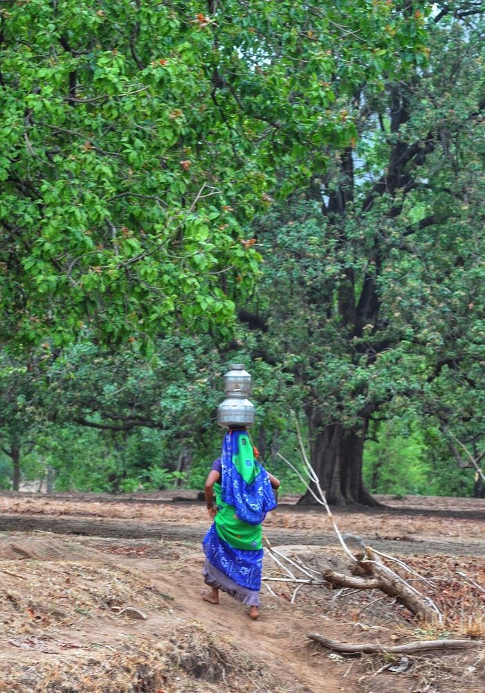 Фотография автора NARAYAN PATEL