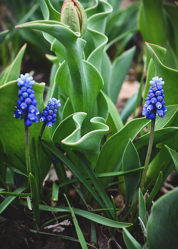 Фотография автора Ирина Ненашева