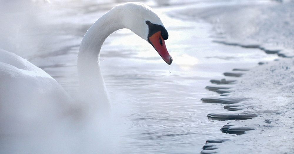 Photograph by Надежда Зайцева