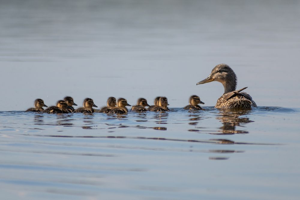 Фотография автора Евгений Гецев